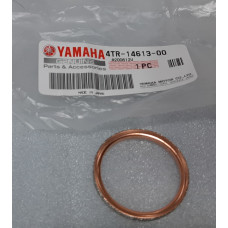 Прокладка кольцо глушителя Yamaha YP400 Grand Majesty